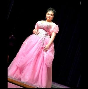 Nataljia's Elite Boutique Pink Dress size 20